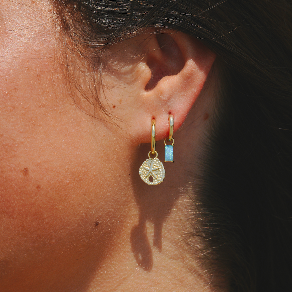 sand dollar and opal earrings