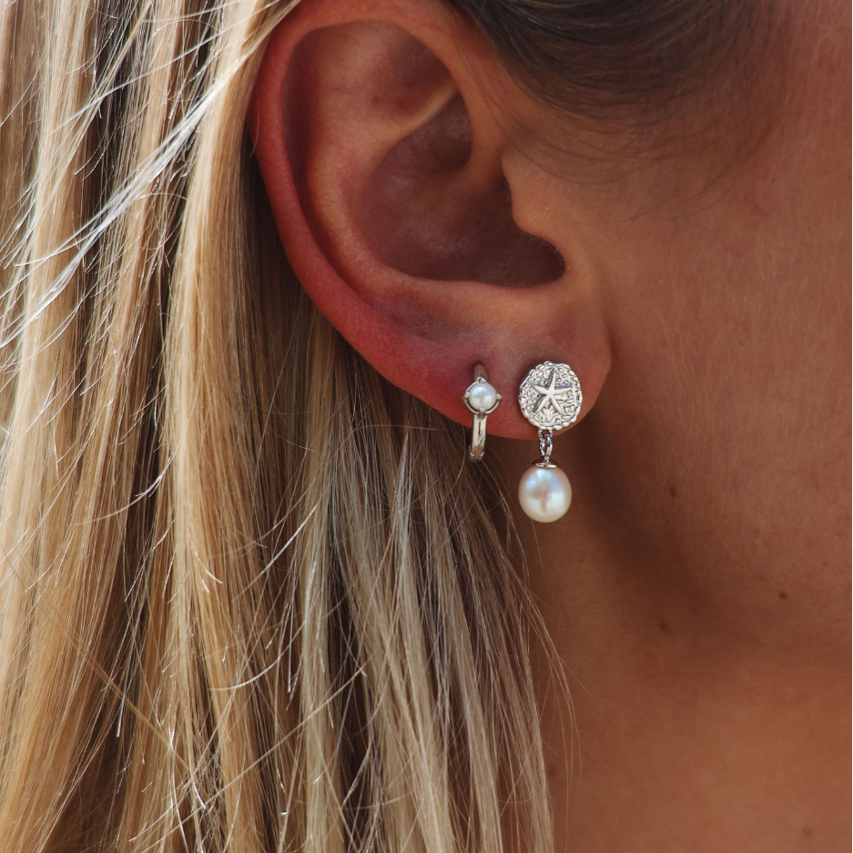 sanddollar pearl earring