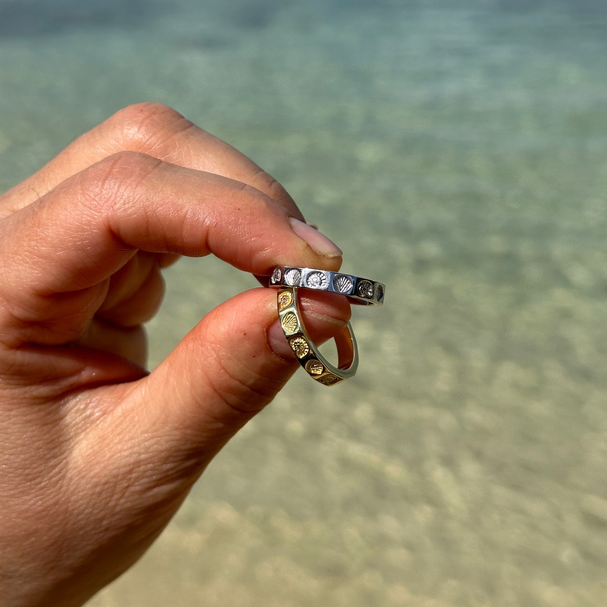 shell engraved rings