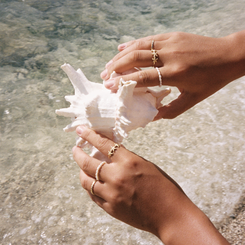 holding a shell over the ocean