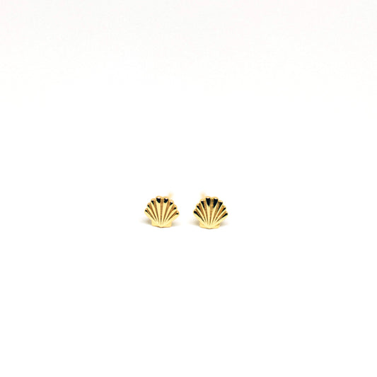 small seashell stud earrings in gold